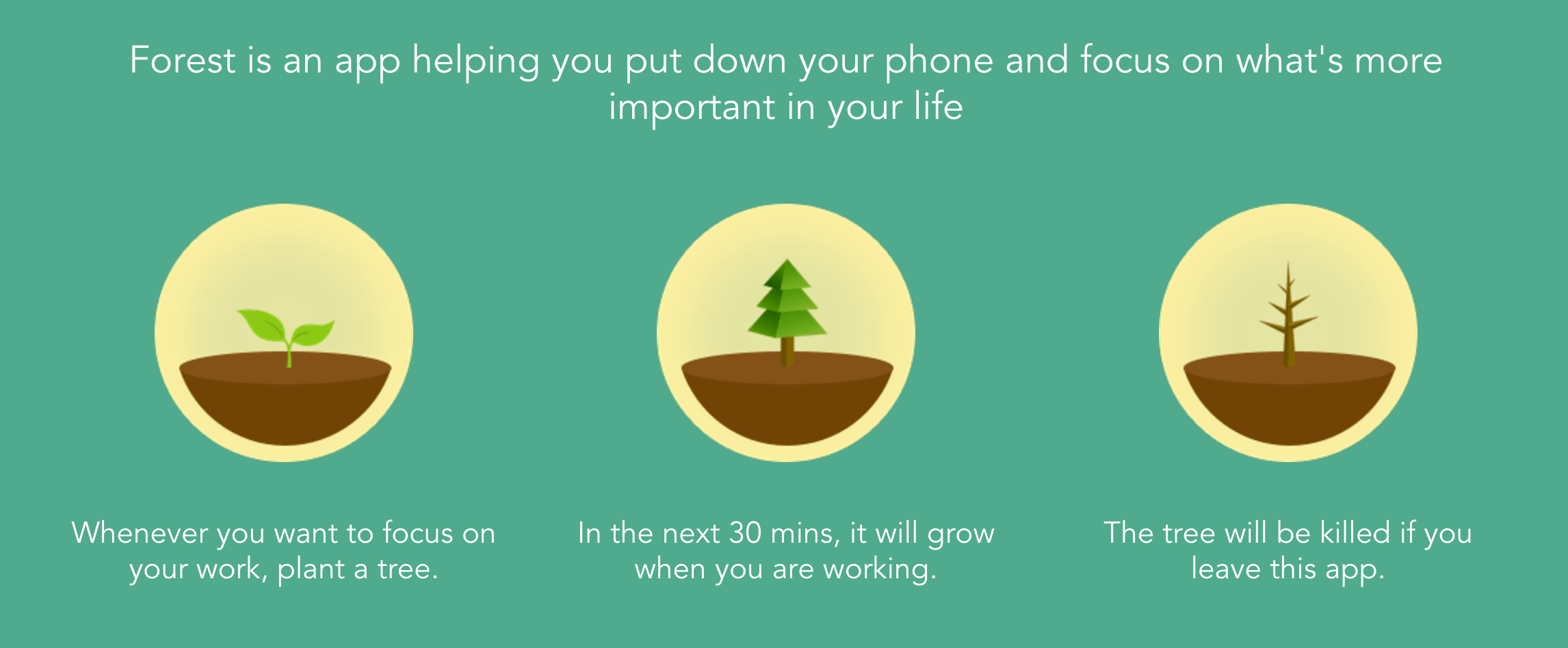 Forest Is The Best Productivity App Ive Ever Used You Should Try It